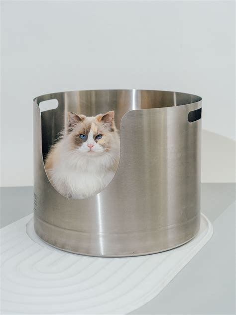 XL Stainless Steel Enclosed Litter Box with Covered, High Sides 